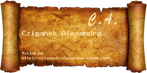 Cziganek Alexandra névjegykártya
